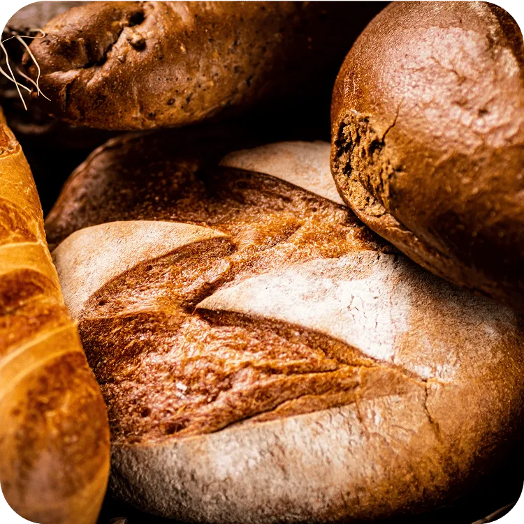 bread
