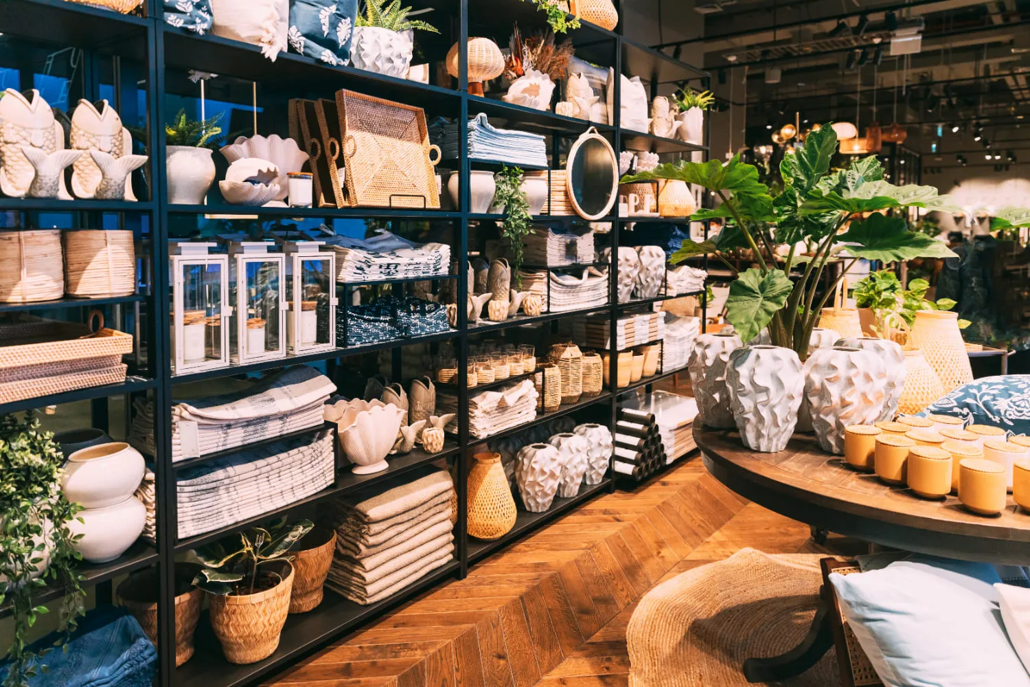 shop